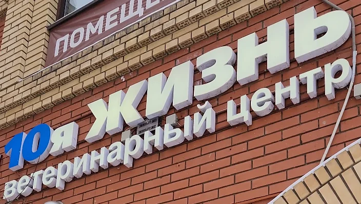 Видео: локация